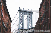 戴爾豪斯大學學費多貴？