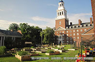 osu大學申請要求有哪些？