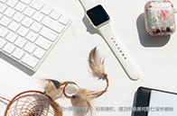 阿爾伯塔大學互聯網理學碩士（Internetworking）簡介