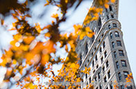 lse運(yùn)籌學(xué)與分析碩士詳解