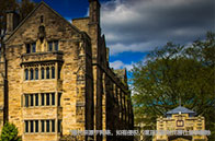 倫敦大學(xué)學(xué)院發(fā)明人工智能增強軟件