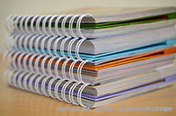 NTU聯(lián)合SMART開(kāi)發(fā)出測(cè)量沼澤碳儲(chǔ)量新方法