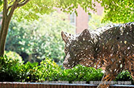 英屬哥倫比亞大學語言專業怎么樣？