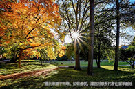 倫敦大學學院2023fall錄取概況解析