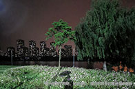 2024-25年麻省理工學院最新學費