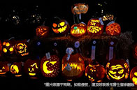 加拿大留學不同專業怎么樣？