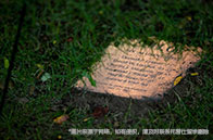 韋仕敦大學計算機專業排名怎么樣？