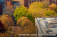 塔夫茨大學排名怎么樣？