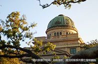 MIT金融碩士錄取條件有哪些？