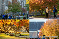 格拉斯哥大學(xué)性價(jià)比高嗎？