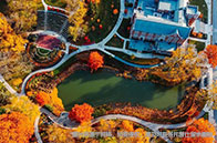 英國羅素大學畢業收入排名：帝國理工霸榜