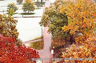 維多利亞大學學費一年多少錢?