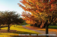 分享|紐約大學在讀學生評價