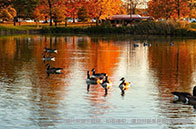 佛羅里達大學2024年春季畢業典禮細節公布