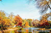 國內名校去美國讀書多嗎？確實不少！