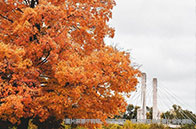 卡內基梅隆大學世界大學排名最新匯總