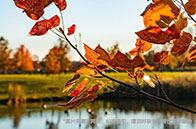 NTU大學文學院介紹