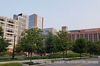 抓緊！布蘭迪斯大學入學押金截止日期進入倒計時