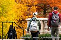 捷報！美國大學全獎博士錄取offer來襲！