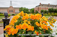 蒙特利爾大學llm學費多少錢？