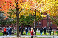 好消息！華威大學可持續發展榮登全球前1%
