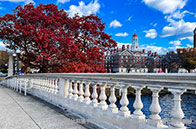 全程規劃|大學生如何準備美研申請