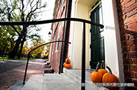 麥吉爾大學生物專業課程安排