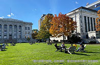 帝國(guó)理工學(xué)院分子生物工程專業(yè)詳解