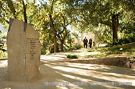 迫于2045年目標，加州大學修改減碳計劃！