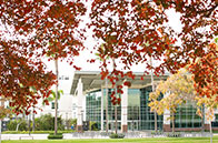 出國留學最有潛力的專業有哪些?