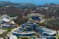 基于抗議壓迫，康奈爾大學校長6月底退休