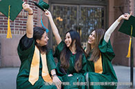 圣路易斯華盛頓大學錄取難度解析