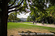 NTU創意寫作與出版文學碩士課程安排