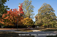 2025年芝加哥大學qs排名多高？創下歷史最低！