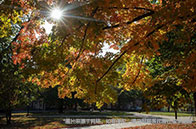 英國博士留學申請規劃：教你打造完美申請