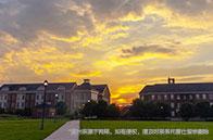 新加坡國立大學規模多大？