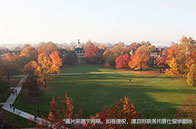 川普放言畢業即可獲綠卡！美國留學生獲得綠卡有多難？