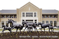 加拿大碩士課程類型分類