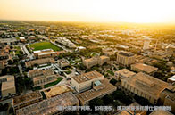 加拿大商學院本科畢業去向怎樣？