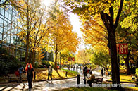 美本轉學申請條件有哪些？