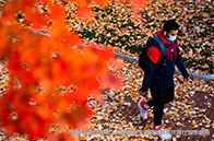 國內(nèi)學(xué)生留學(xué)牛津大學(xué)如何選擇學(xué)院？