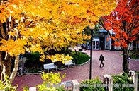 美國本科留學一年費用多少錢？