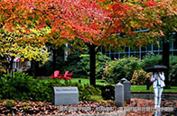 出國留學(xué)如何參考世界排名？