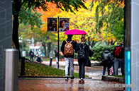 美國最受歡迎的本科專業盤點