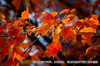 重磅！NTU位列2024THE亞洲大學榜單前五