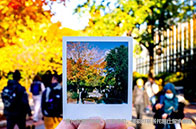 卡爾頓大學學費多少錢？