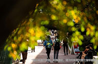 調查顯示：英國研究生國際生招生下降