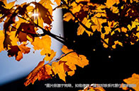 美國西北大學讀研幾年？1-3年！