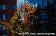 英國QS100大學研究生錄取難度解析