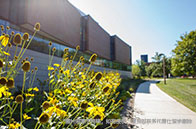 倫敦大學(xué)學(xué)院熱門專業(yè)有哪些？